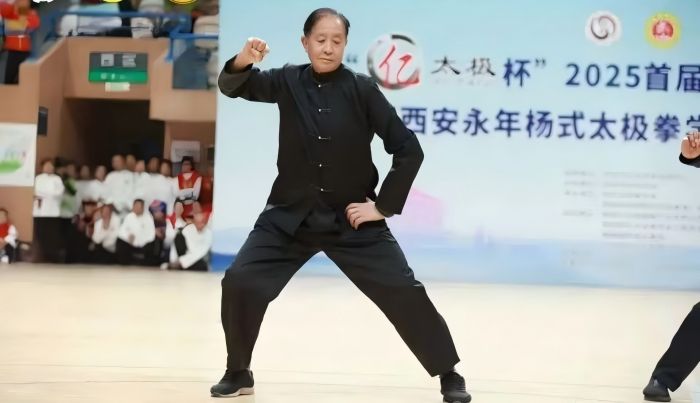 太极拳泰斗朱天才大师陕西健康行