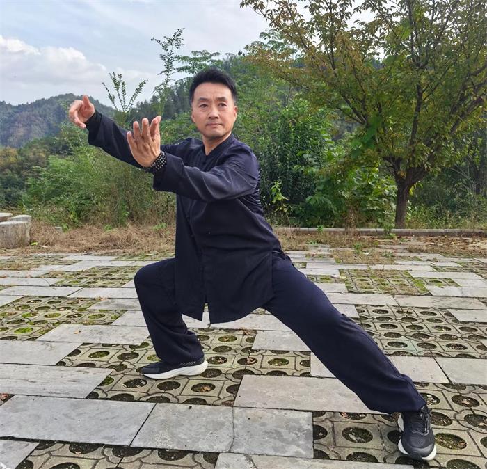 李彦斌老师商南太极行